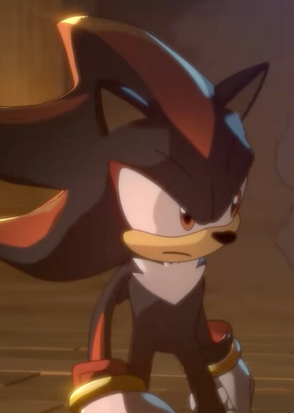 Shadow the Hedgehog photo