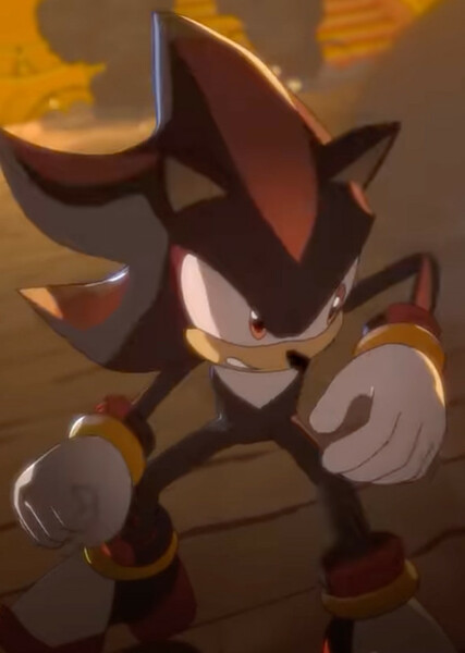 Shadow the Hedgehog photo
