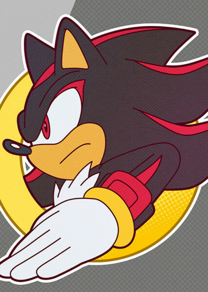 Shadow the Hedgehog photo