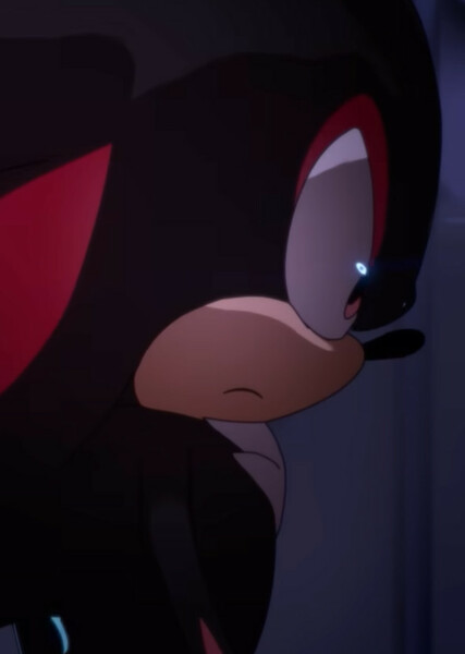 Shadow the Hedgehog photo