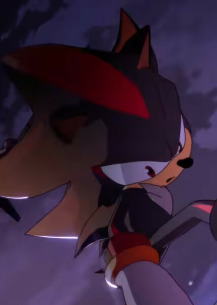 Shadow the Hedgehog photo