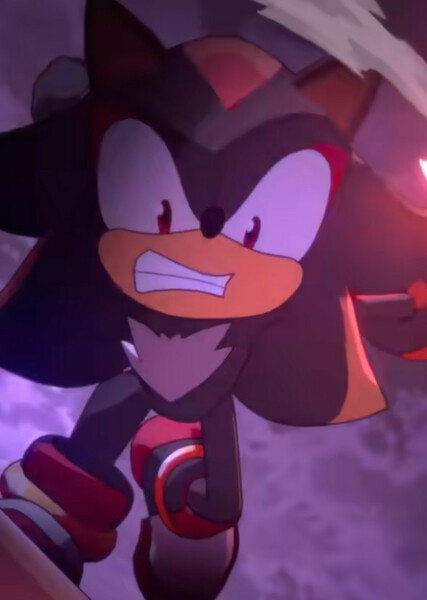 Shadow the Hedgehog photo