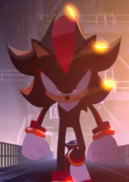 Shadow the Hedgehog photo