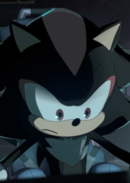 Shadow the Hedgehog photo