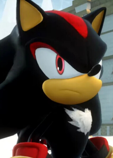 Shadow the Hedgehog photo