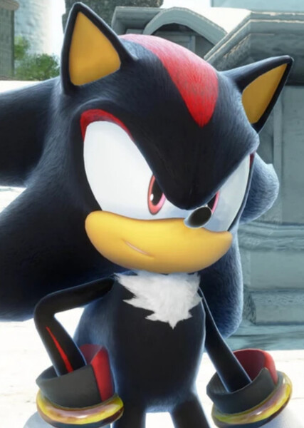 Shadow the Hedgehog photo