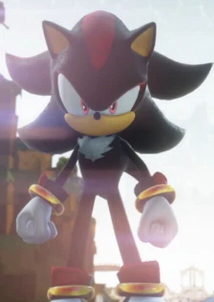 Shadow the Hedgehog photo