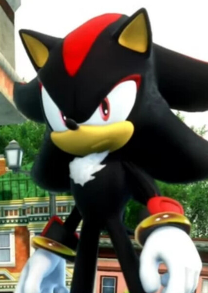 Shadow the Hedgehog photo