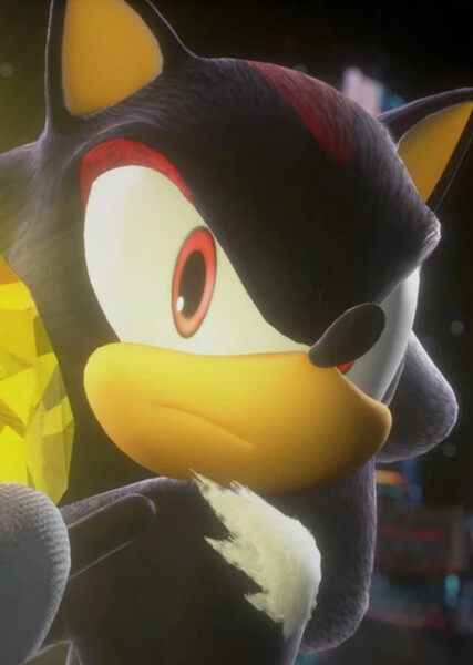 Shadow the Hedgehog photo