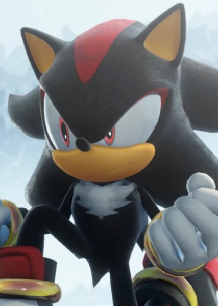 Shadow the Hedgehog photo