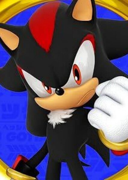 Shadow the Hedgehog photo