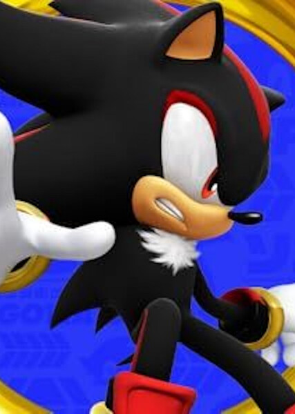 Shadow the Hedgehog photo
