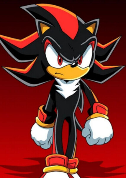 Shadow the Hedgehog photo