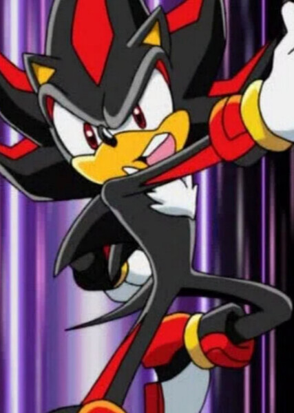 Shadow the Hedgehog photo