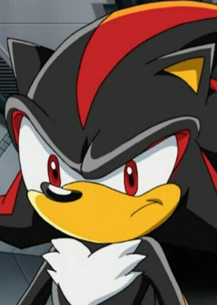 Shadow the Hedgehog photo