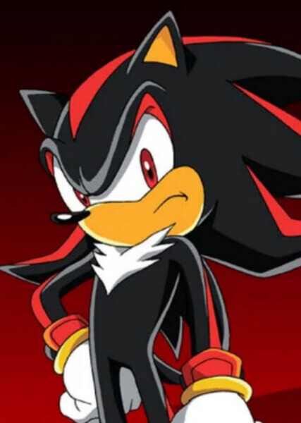 Shadow the Hedgehog photo