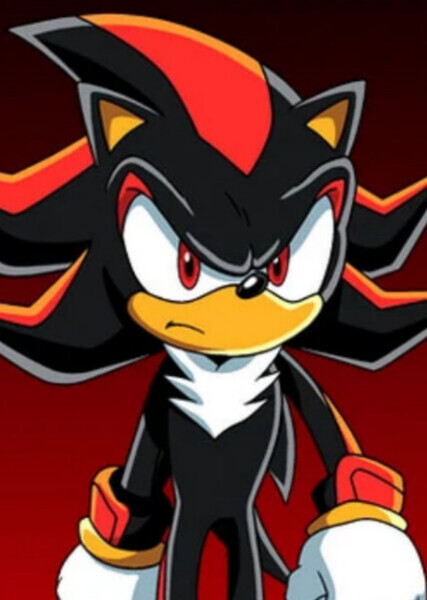 Shadow the Hedgehog photo