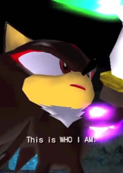 Shadow the Hedgehog photo