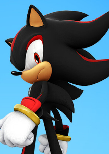 Shadow the Hedgehog photo