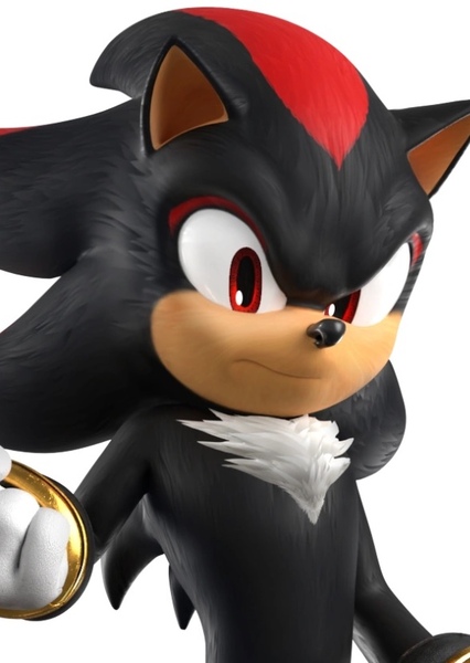 Shadow the Hedgehog photo