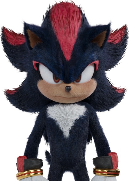 Shadow the Hedgehog photo
