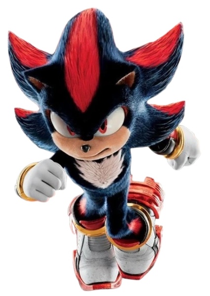 Shadow the Hedgehog photo