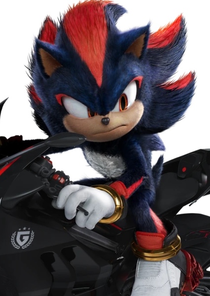 Shadow the Hedgehog photo