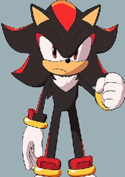 Shadow the Hedgehog photo