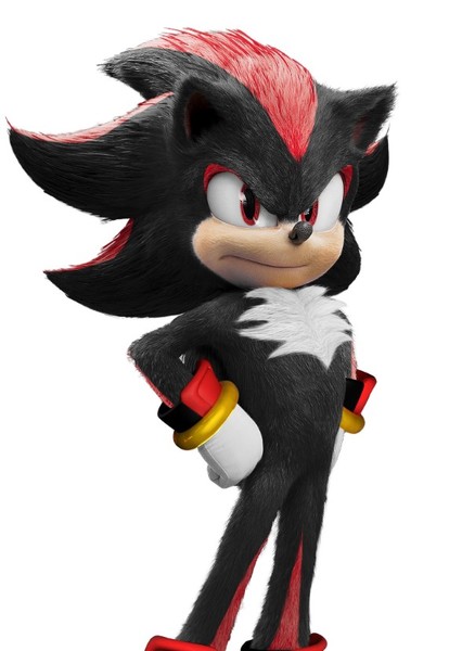 Shadow the Hedgehog photo