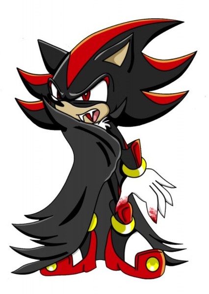 Shadow the Hedgehog photo