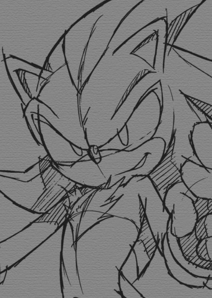 Shadow the Hedgehog photo