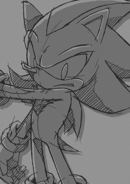 Shadow the Hedgehog photo