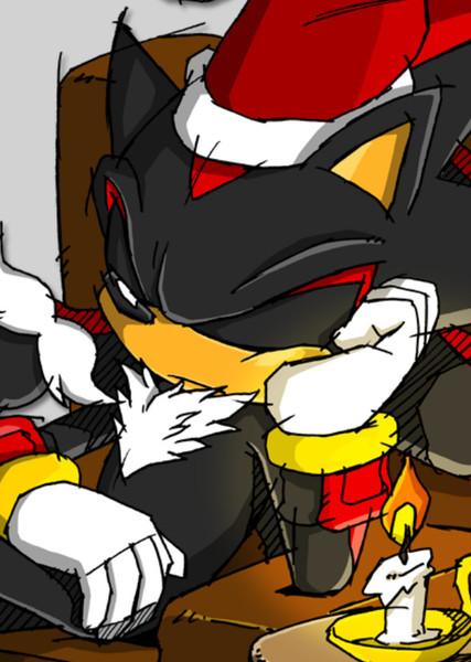 Shadow the Hedgehog photo