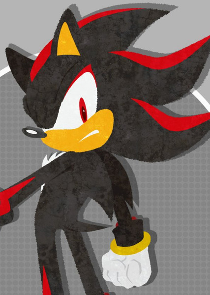 Shadow the Hedgehog photo