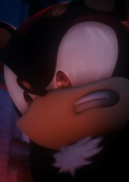 Shadow the Hedgehog photo