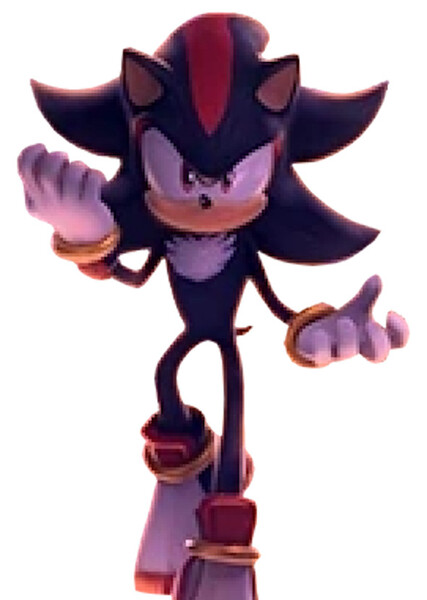 Shadow the Hedgehog (Prime) photo