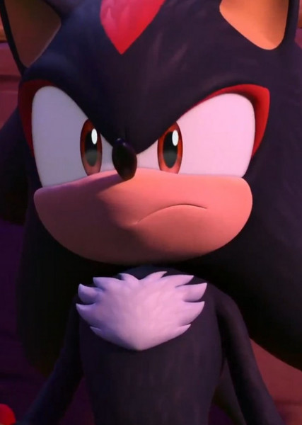 Shadow the Hedgehog (Prime) photo