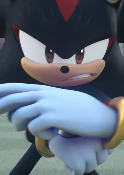 Shadow the Hedgehog (Prime) photo