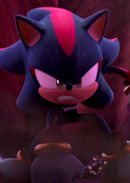 Shadow the Hedgehog (Prime) photo