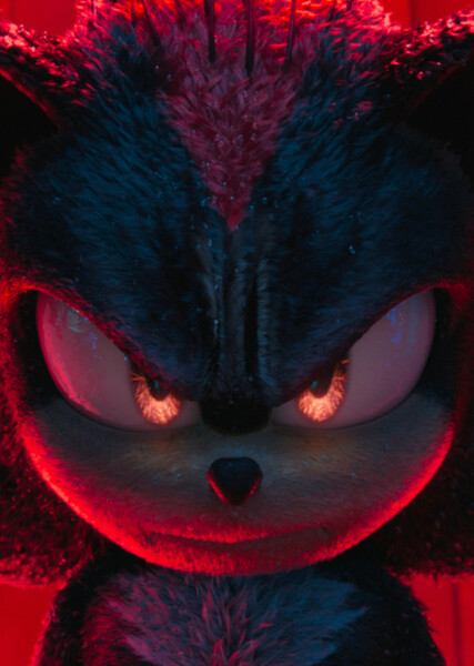 Shadow the Hedgehog (SCU) photo