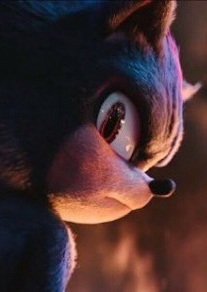 Shadow the Hedgehog (SCU) photo