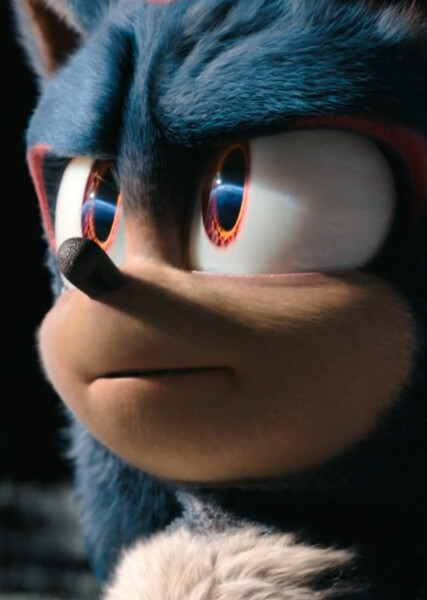 Shadow the Hedgehog (SCU) photo