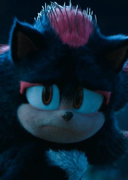 Shadow the Hedgehog (SCU) photo
