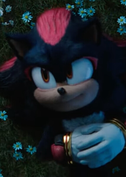 Shadow the Hedgehog (SCU) photo