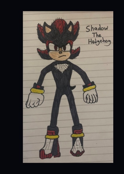 Shadow the Hedgehog (SCU) photo