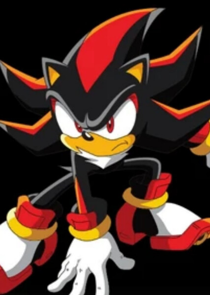 Shadow the Hedgehog (Sonic X) photo