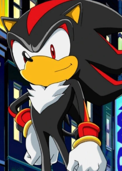 Shadow the Hedgehog (Sonic X) photo