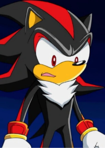Shadow the Hedgehog (Sonic X) photo