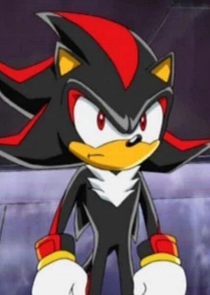 Shadow the Hedgehog (Sonic X) photo
