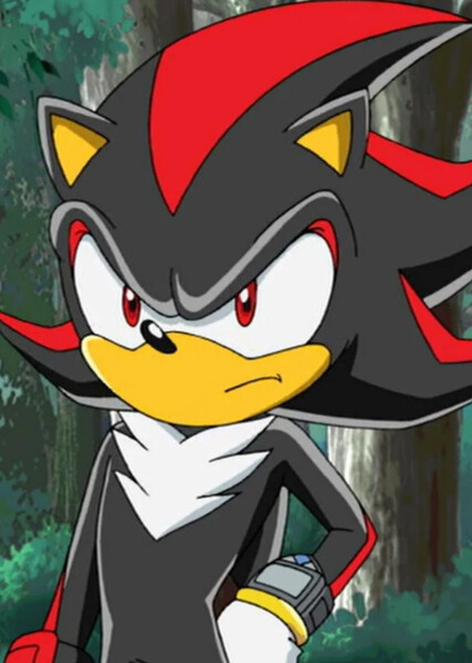 Shadow the Hedgehog (Sonic X) photo